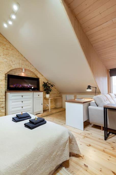 Luxury Apartment In Gedimino Av. VNO Buitenkant foto