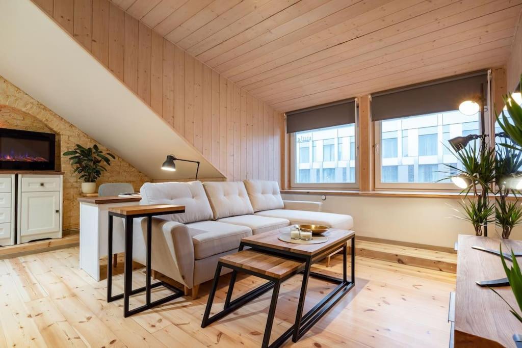 Luxury Apartment In Gedimino Av. VNO Buitenkant foto